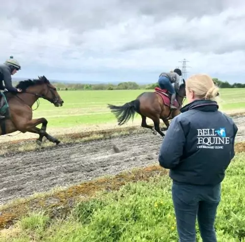 We now have an overground endoscope available for the diagnosis of upper respiratory tract disorders in exercising horses