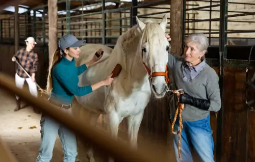 As well as school children interested in a veterinary career, we welcome mature students with specific interest and expertise.