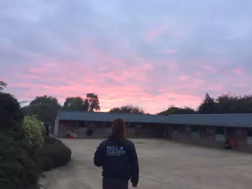 The Bell Equine Veterinary Clinic is situated on a 6-acre site in Mereworth, Kent